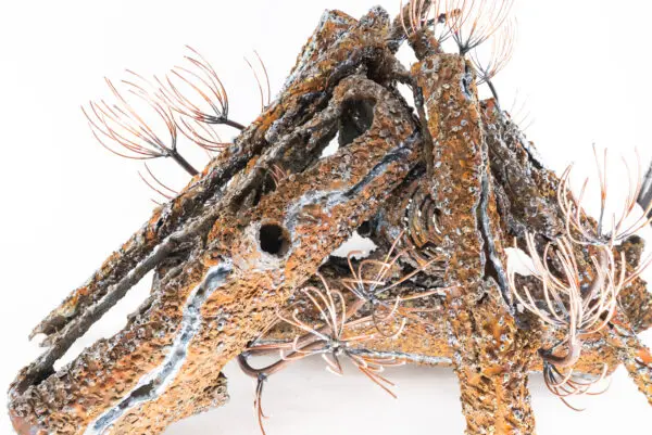 Rustic Pine Logs Montana Fire Pits