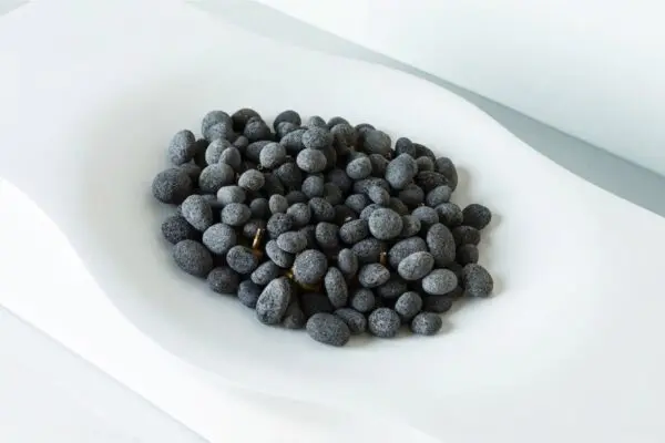 Nido Shasta Snow Fast Ship Fire Table